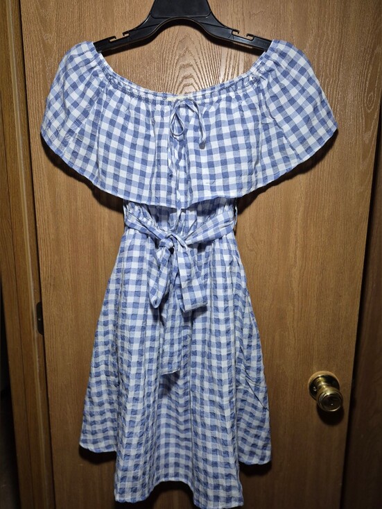 Anthropologie Dresses & Skirts - Anthropologie 11-1 Tylho for  "Kinsey" Gingham Dress XS